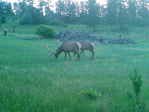 5th image of Tbd Hot Brook Canyon Rd