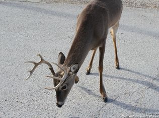 5760 Spring Branch Rd, Spring Branch, TX 78070