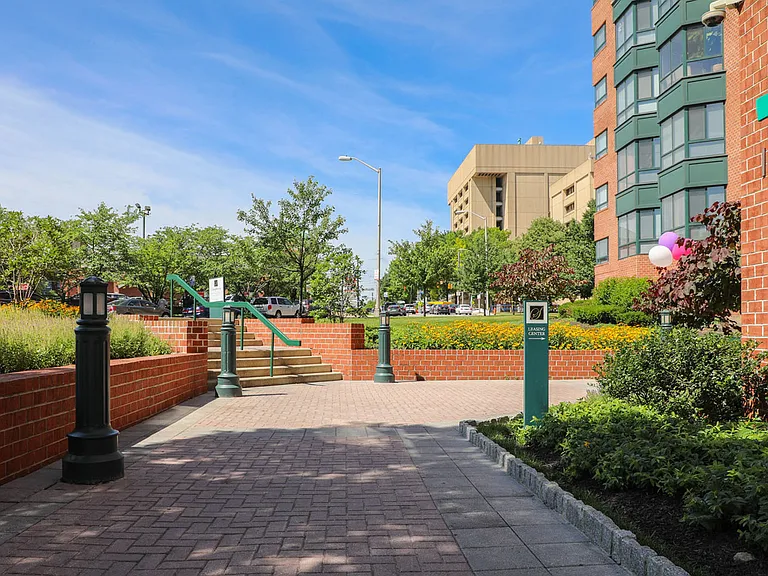 Courtyard View II