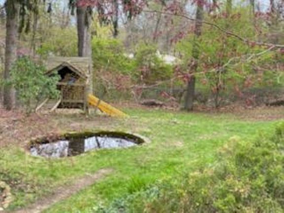 Lower yard and lily pond