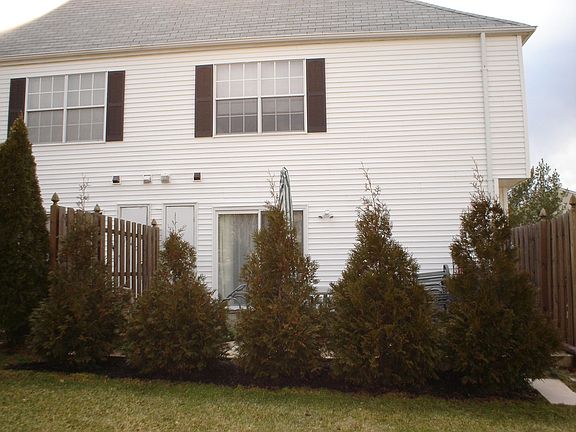 Rear View w/ Patio