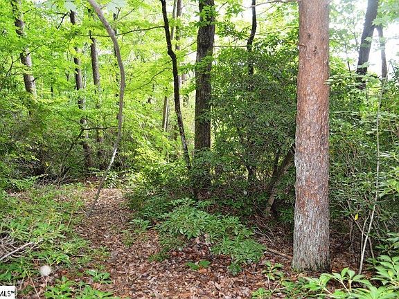 3rd image of Mountain Laurel Dr
