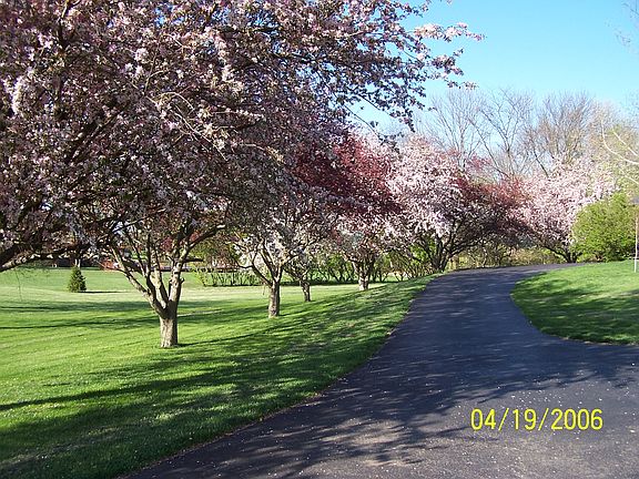 Beautiful in the Spring!!