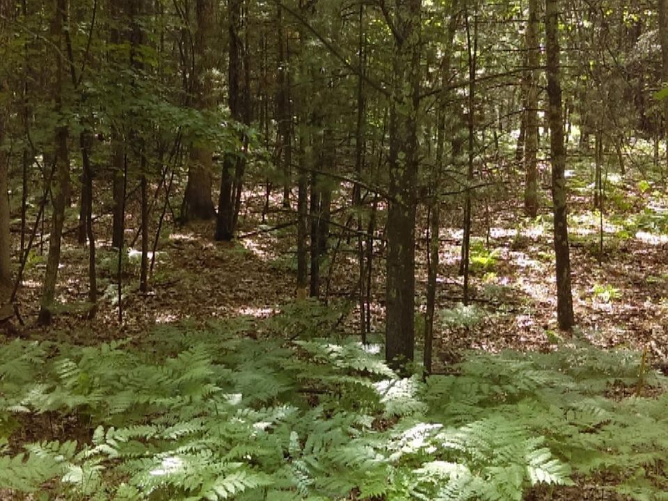 2nd image of Cheyene Rd