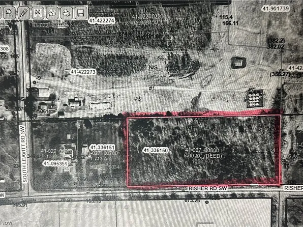 Risher Rd, Leavittsburg, OH 44430