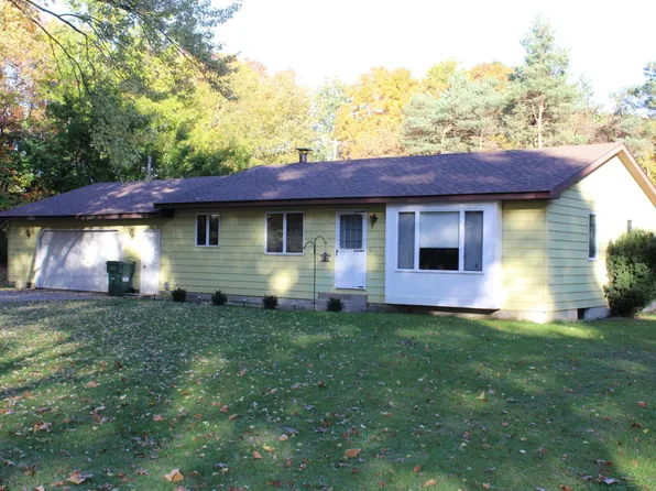11291 S Johnson Rd, Greenville, MI 48838