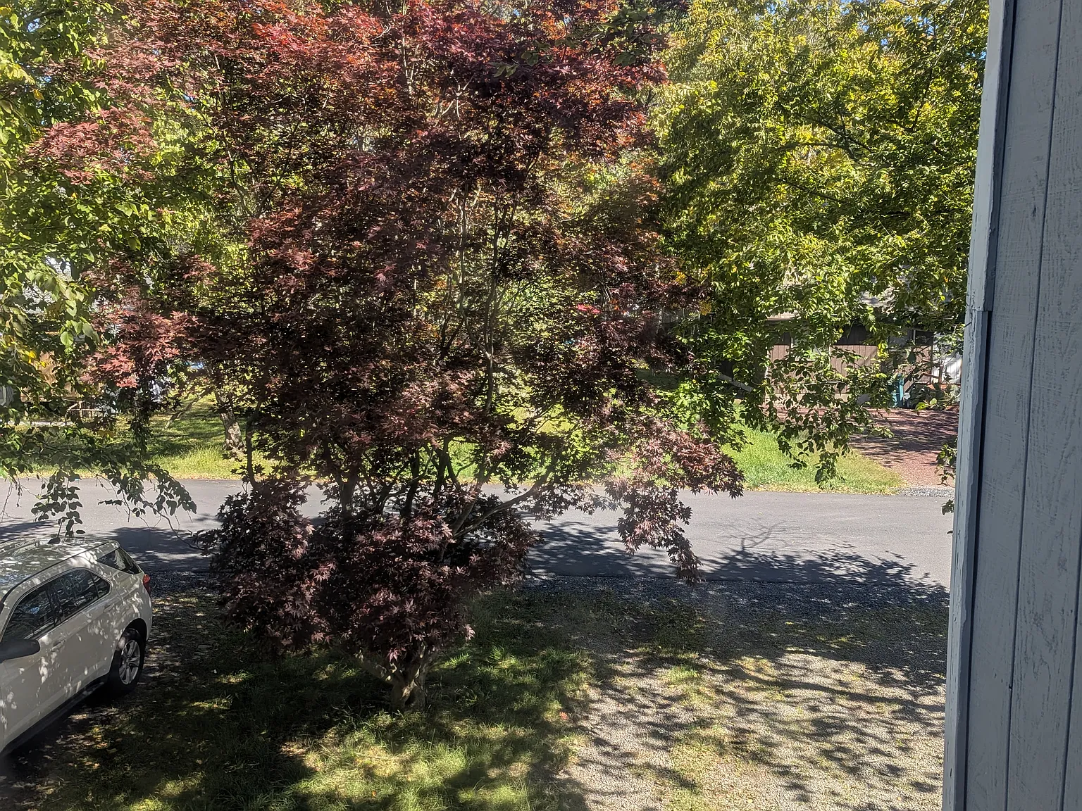 3 bed, 1250 sqft, $1,900 — Photo 3