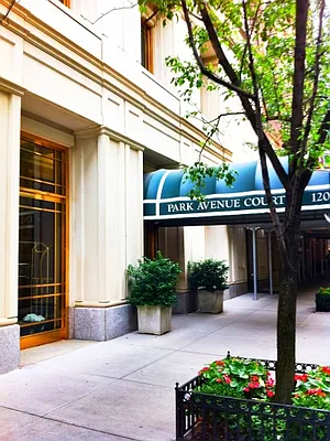 Rented by Citi Habitats | media 41