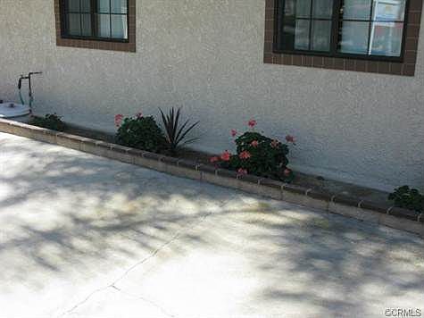 5th image of 1241 E Ralston Ave