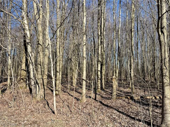 Middle Rd, Conneaut, OH 44030