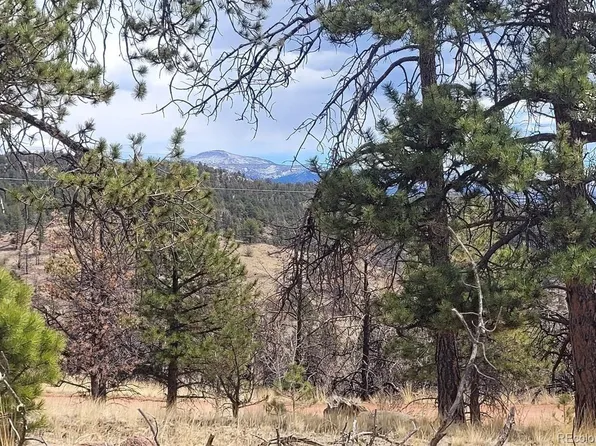 469 Chateau Vista Drive, Florissant, CO 80816