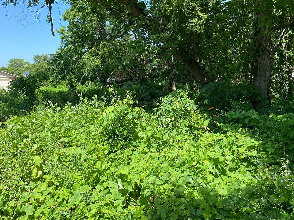 1st image of 69025 Island Dr