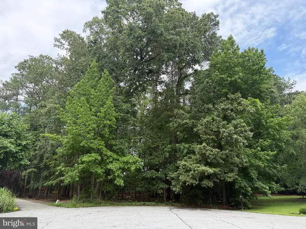 14680 Bar Harbor Ct, Issue, MD 20645