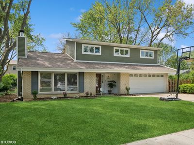 223 Hickory Ln, Schaumburg, IL, 60193