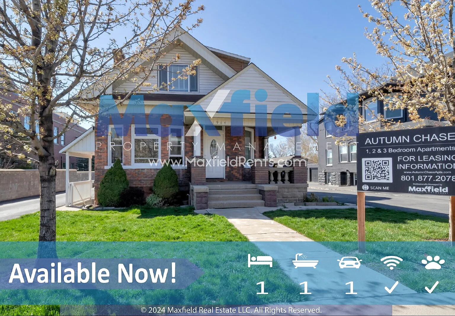 1 bed, 1.0 bath, 600 sqft, $950 — Photo 2