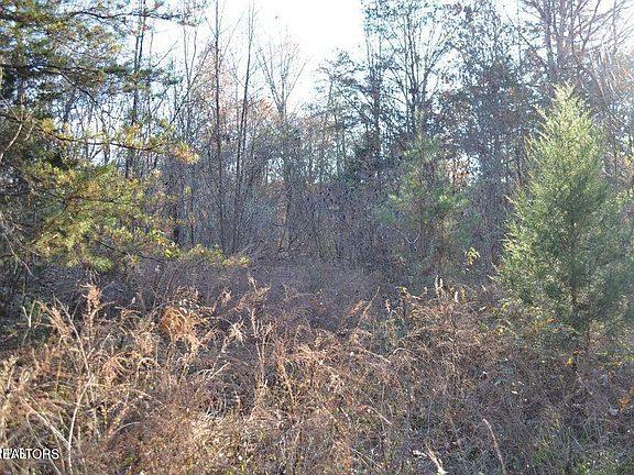 4th image of 246 County Road 162
