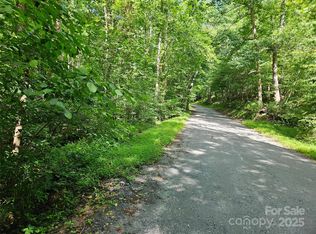 0 Sandpiper Ave #163, Lake Lure, NC 28746