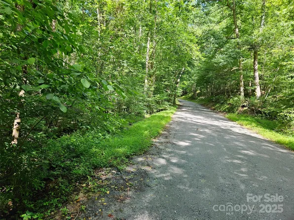 0 Sandpiper Ave #163, Lake Lure, NC 28746