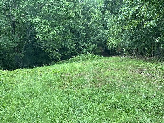 4th image of 0 Pea Ridge Rd