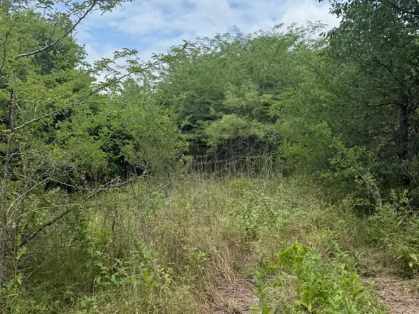 1.5 McKnight Rd, Ferris, TX 75125