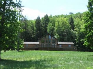 176 Easy St, Oneonta, NY 13820