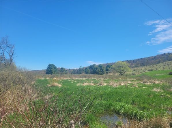 3632 Wilson Creek Rd, Berkshire, NY 13736