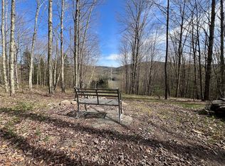 State Highway 30 Lot 1, Andes, NY 13731
