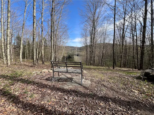 State Highway 30 Lot 1, Andes, NY 13731