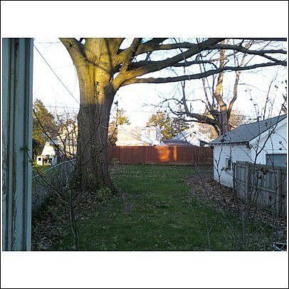 back yard