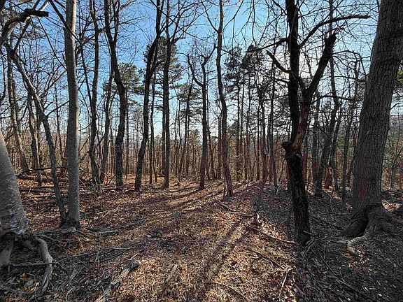 3rd image of Old Stony Ridge Rd