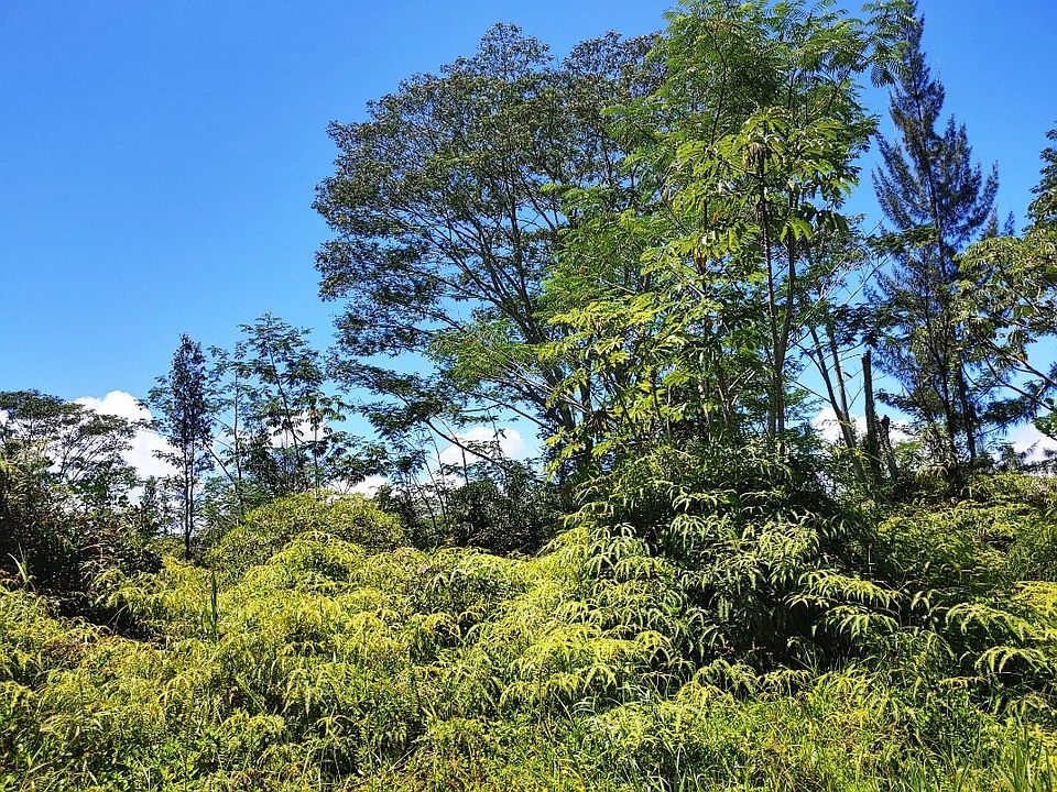 1st image of 7th Avenue Hinahina Lot 1092