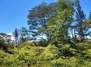 7th Avenue Hinahina LOT 1092, Keaau, HI 96749