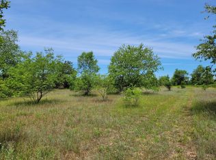 10725 Indian Trail Rd, Mancelona, MI 49659