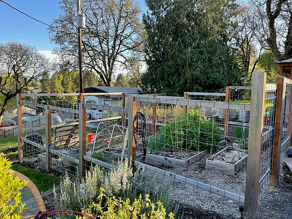 Garden beds.