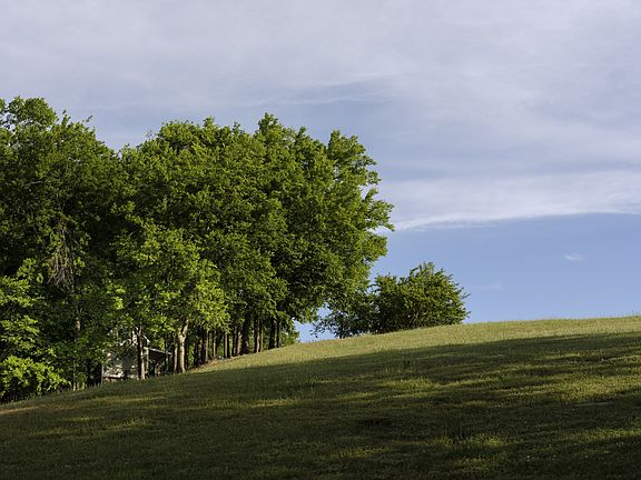 63rd image of 3210 Morel Rd