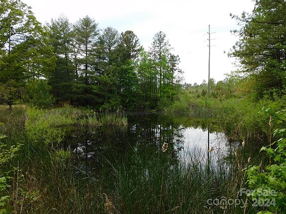 3rd image of 322 Kings Creek Dr