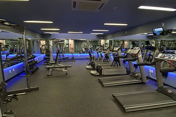 Rented by City View Living | media 78