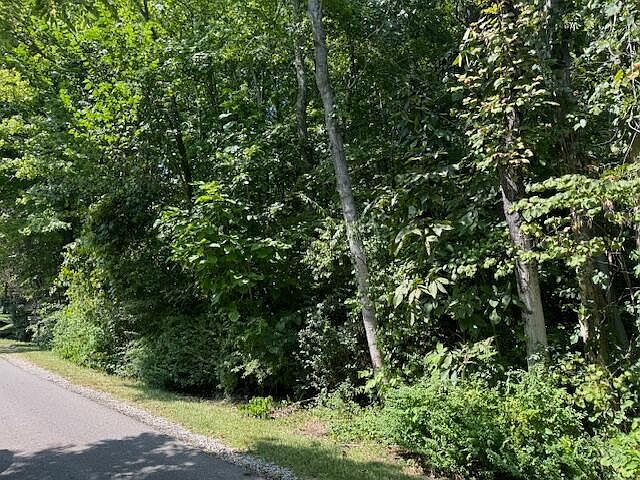2nd image of 0 Walnut Dr