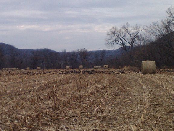 4th image of 4400 County Road 6