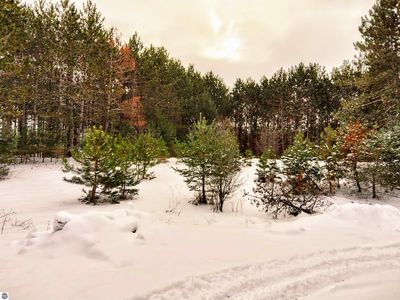 1 Ringneck Ln, Buckley, MI, 49620