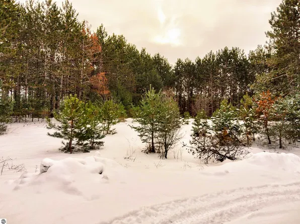 1 Ringneck Ln, Buckley, MI 49620