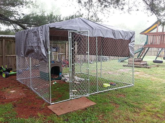 Dog Kennel in back yd