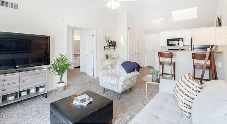 1 Bedroom with Skylight