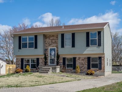 6003 Hickory Tree Rd, Louisville, KY, 40291