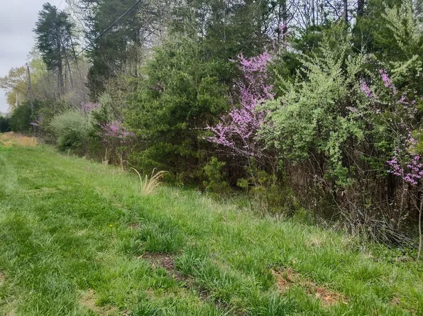 20 Lakewood Forest Rd, Moneta, VA 24121