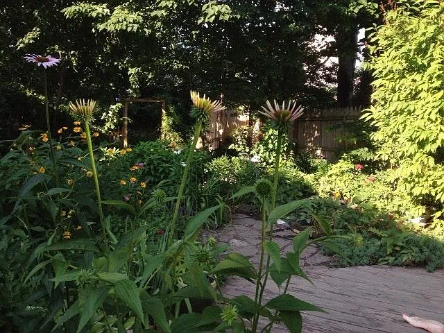 361 Hamilton St — Photo 14