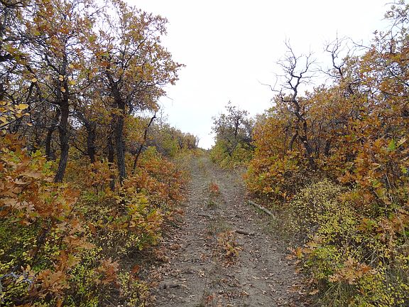 4th image of Tbd 3100 Road Big Rock Rd