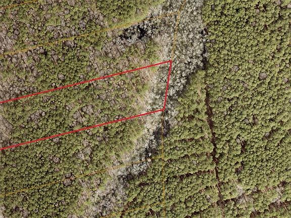 2nd image of 6592 Blackwater Rd