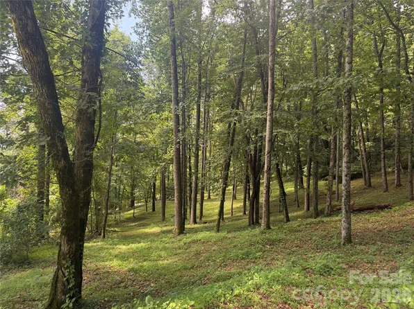 89 Split Rock Trl #56, Arden, NC 28704