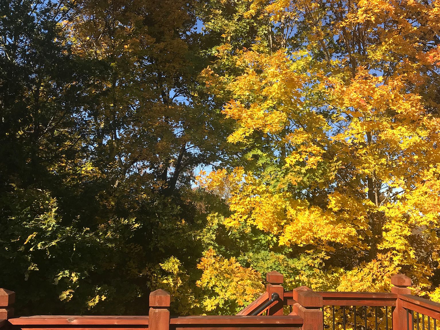 5327 Mirasol Manor Way, Eureka, MO 63025 Zillow